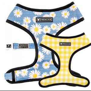 Frenchie dog harness for French bulldogs